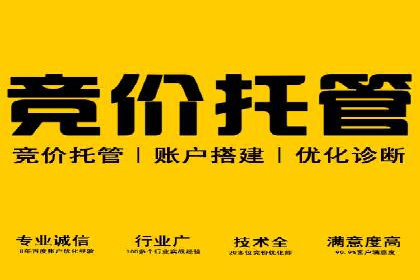 SEM托管优化效果显著案例解析